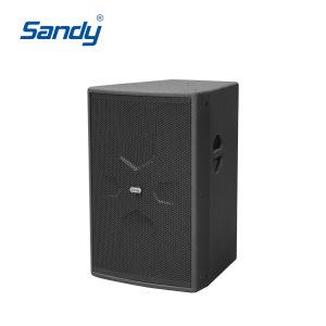 LD8015 15 inch active full-range speaker with plywood cabinet for church club conference room and commercial sound system installation