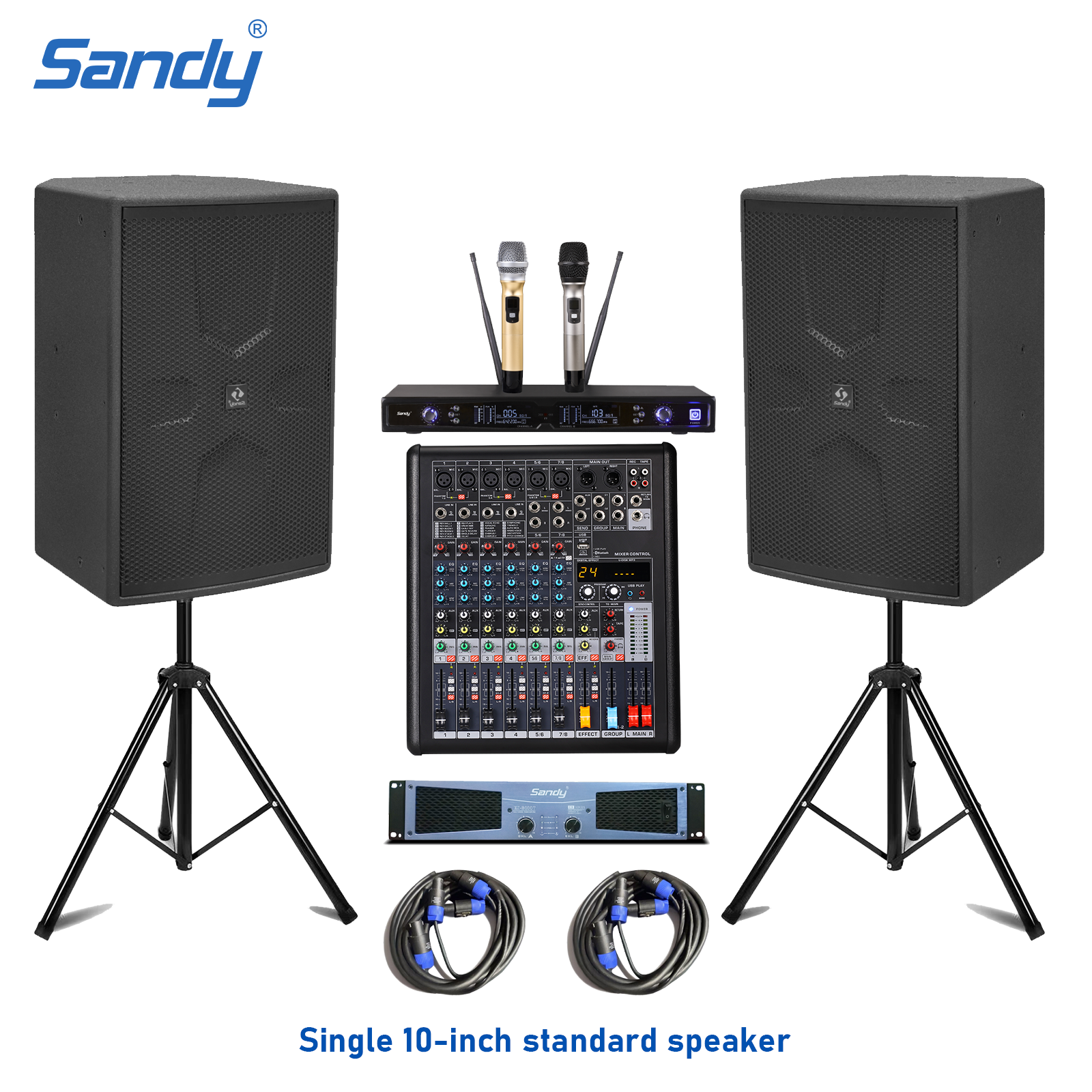 Sandy Audio LD8010 active 2-way PA speaker with 12-inch woofer, DSP amplifier, birch plywood cabinet for church, stage, and commercial sound systems